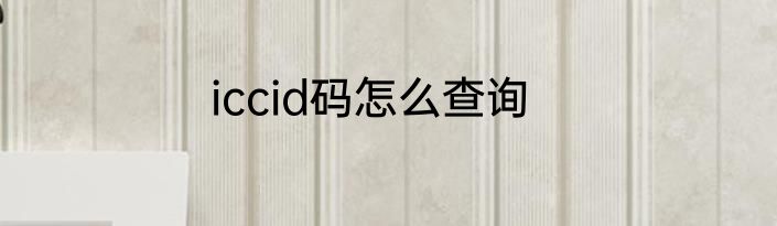 iccid码怎么查询
