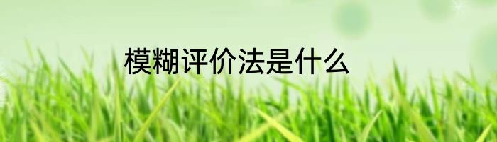 模糊评价法是什么