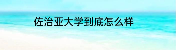 佐治亚大学到底怎么样