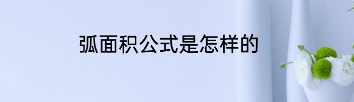 弧面积公式是怎样的