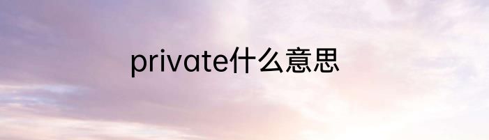 private什么意思