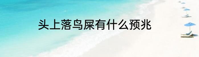 头上落鸟屎有什么预兆
