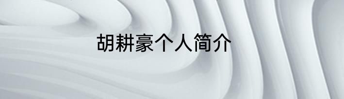 胡耕豪个人简介