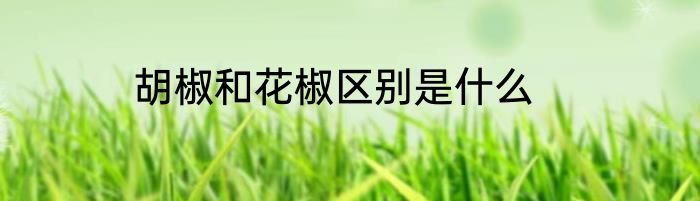胡椒和花椒区别是什么