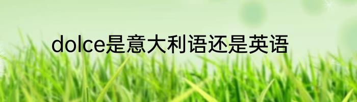 dolce是意大利语还是英语