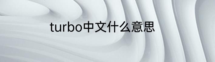 turbo中文什么意思