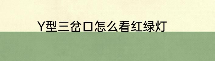 Y型三岔口怎么看红绿灯