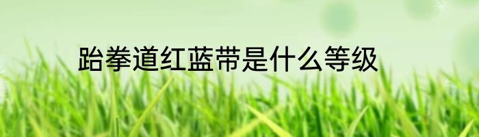 跆拳道红蓝带是什么等级