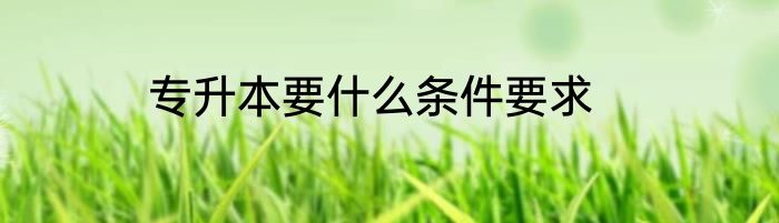 专升本要什么条件要求