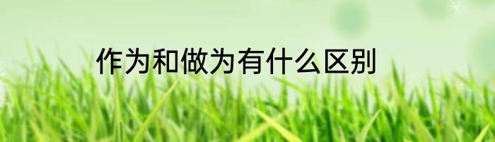 作为和做为有什么区别