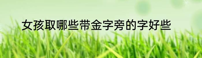 女孩取哪些带金字旁的字好些