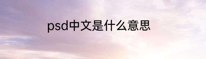 psd中文是什么意思