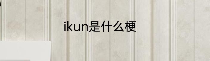 ikun是什么梗