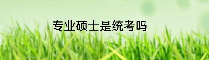 专业硕士是统考吗