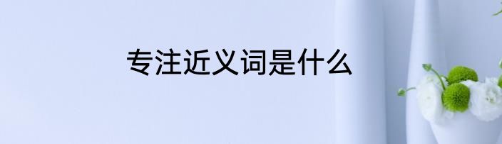 专注近义词是什么