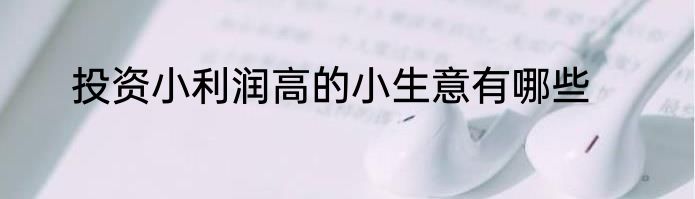 投资小利润高的小生意有哪些