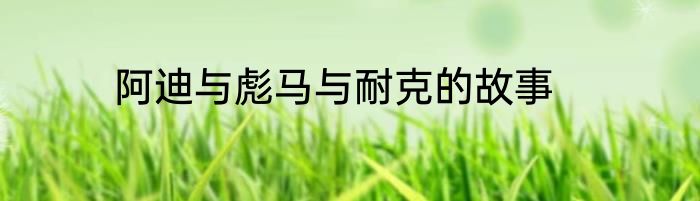阿迪与彪马与耐克的故事