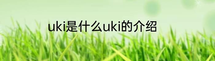 uki是什么uki的介绍