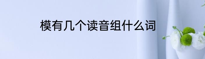模有几个读音组什么词