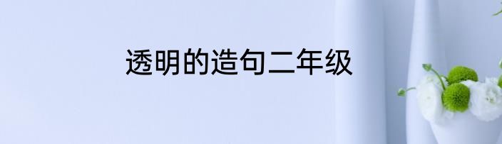 透明的造句二年级