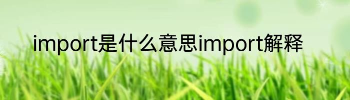 import是什么意思import解释