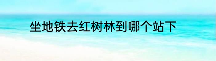 坐地铁去红树林到哪个站下
