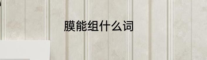 膜能组什么词