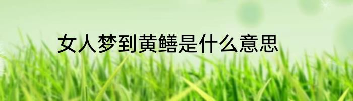 女人梦到黄鳝是什么意思
