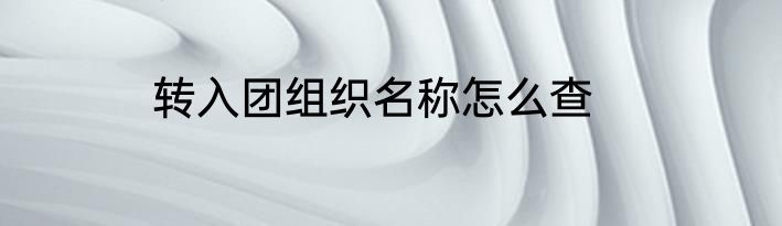 转入团组织名称怎么查