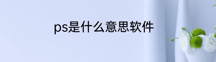 ps是什么意思软件
