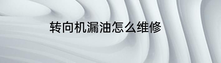 转向机漏油怎么维修