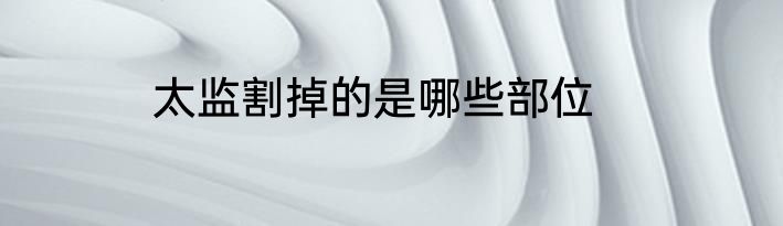 太监割掉的是哪些部位