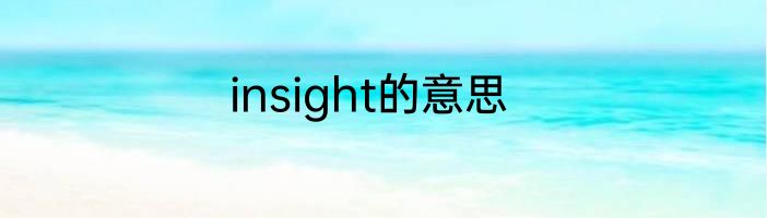 insight的意思