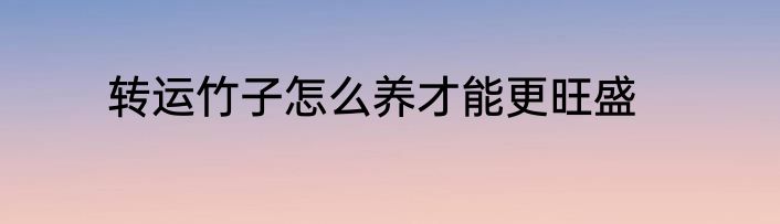 转运竹子怎么养才能更旺盛