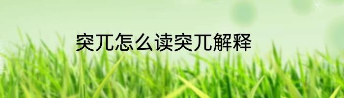 突兀怎么读突兀解释