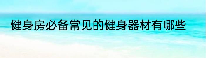 健身房必备常见的健身器材有哪些