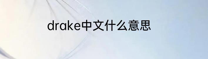 drake中文什么意思