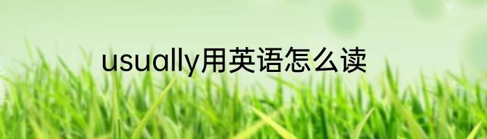 usually用英语怎么读