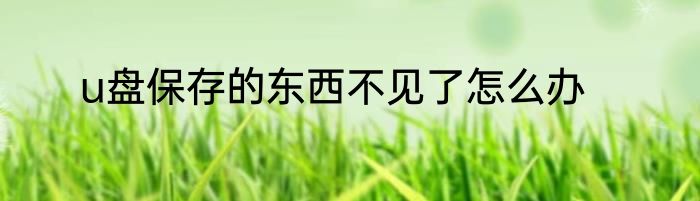 u盘保存的东西不见了怎么办