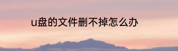 u盘的文件删不掉怎么办