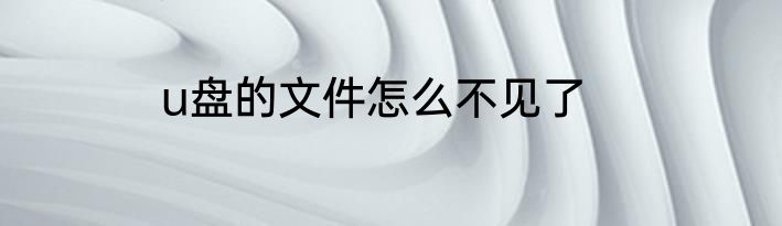 u盘的文件怎么不见了