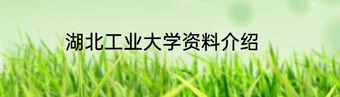 湖北工业大学资料介绍