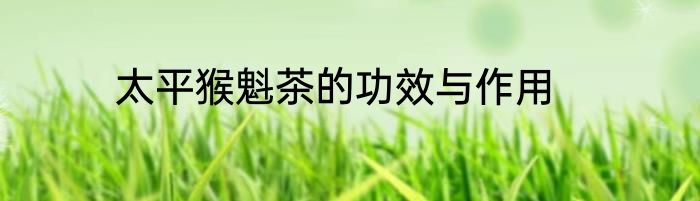 太平猴魁茶的功效与作用