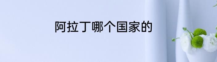 阿拉丁哪个国家的