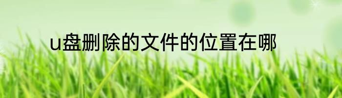 u盘删除的文件的位置在哪