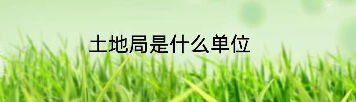 土地局是什么单位