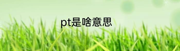 pt是啥意思