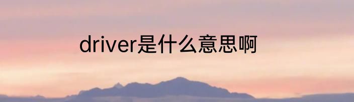 driver是什么意思啊