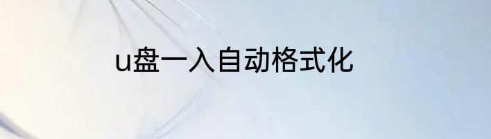 u盘一入自动格式化
