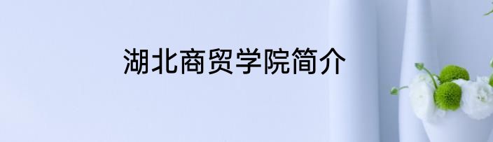 湖北商贸学院简介